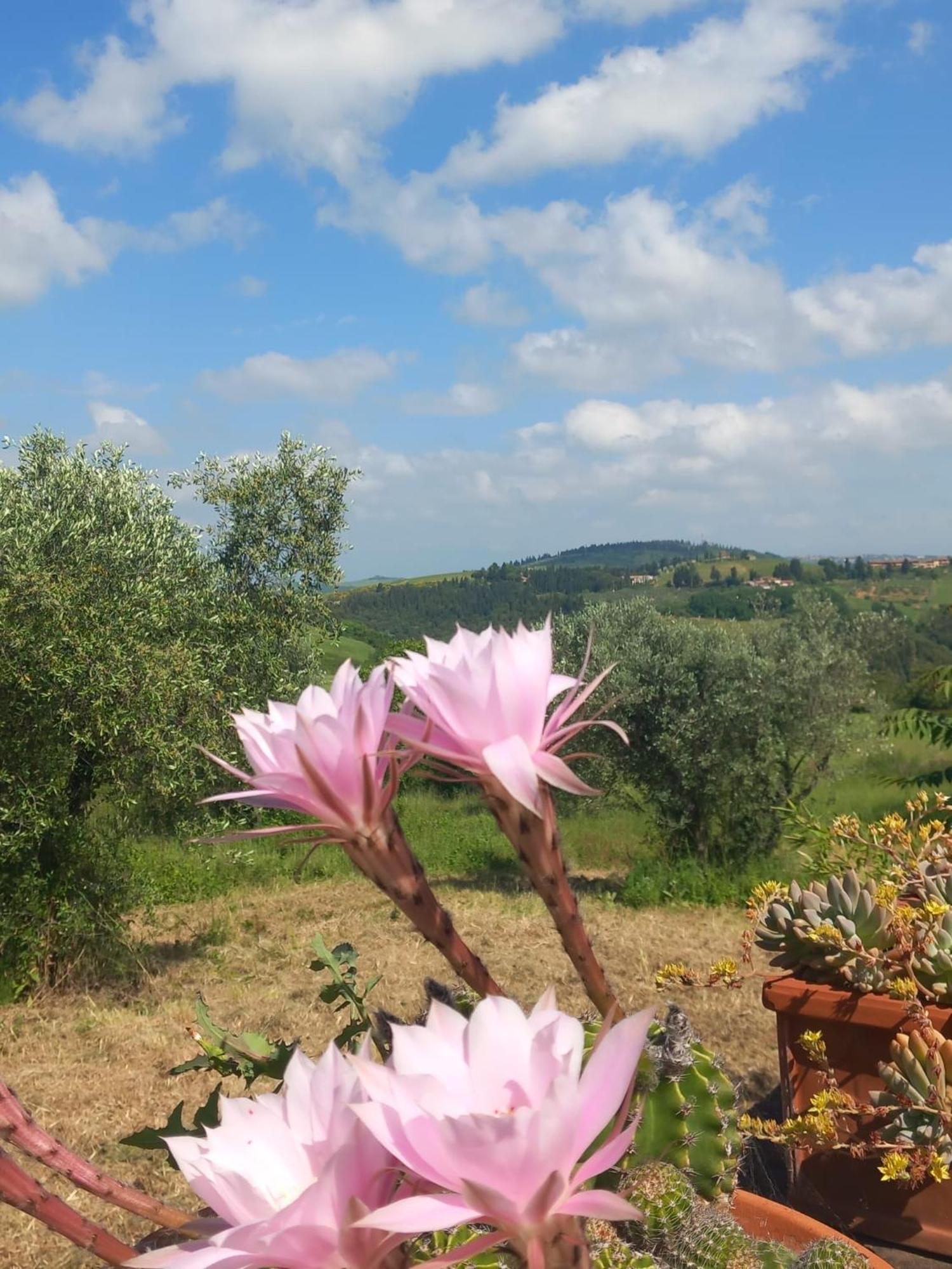 Chianti Art Room Poggibonsi Esterno foto